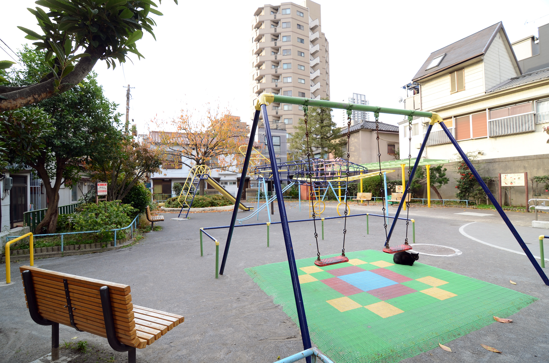 保育園という閉鎖された空間でおきていること